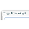 Timer_widget_large
