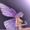 Papillon Denuit