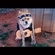 Masterpooh