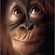 codemonkey