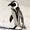 thepenguin