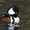 Merganser