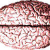 Nakedbrain-133x100_large