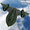 AeroRepair