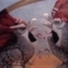 Avatar_small_large