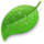 Coda_small