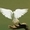 seasonedwthsalt