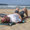 Brett Patterson