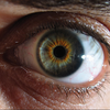Eye_male_l_green_square_large