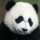 App_1_36533109268_2562_small