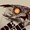 Artificial Owl