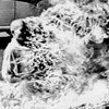 Burning_monk_large