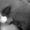 Christian Sonne