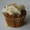 Chip Fletcher