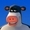 meuhlavache