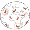 Skyrove-globe-small_large