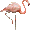 Pat