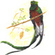 quetzal