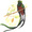quetzal