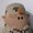 Andrew Reid