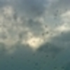 Nasse_scheibe_normal_large