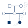 Slide20302_large