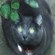 Graykatzen