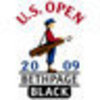 Nes_auction_2009_us_open_logo_normal_large