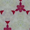 Hni_0056_copy_normal_large