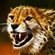 Cheetah OnCold