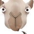 Camel_bigger_medium
