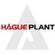 Hague Plant