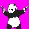 Funny_panda_large