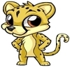 Cheetah_large