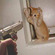 SimplyNotSureRU