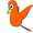 Little Birdy