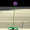alleeum
