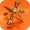 orangejack