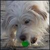 Green_ball_large