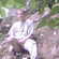 bblboy54
