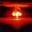 Spud Bone