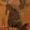 Muad'Dib