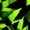GREENMAMBA
