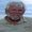 Jim Smith
