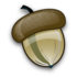 Acorn_medium
