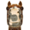 baktra