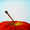 NewsWrangler