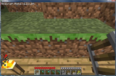  blocks show the original grass texture and not its parent biome's color.