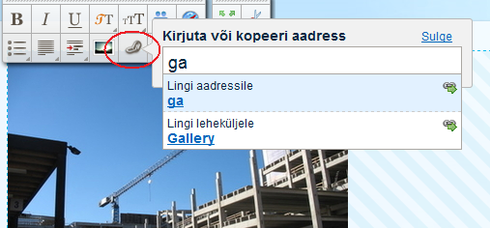 Edicy lingi tööriist.
