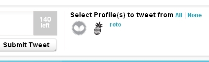 Screen Shot of roto's dashboard